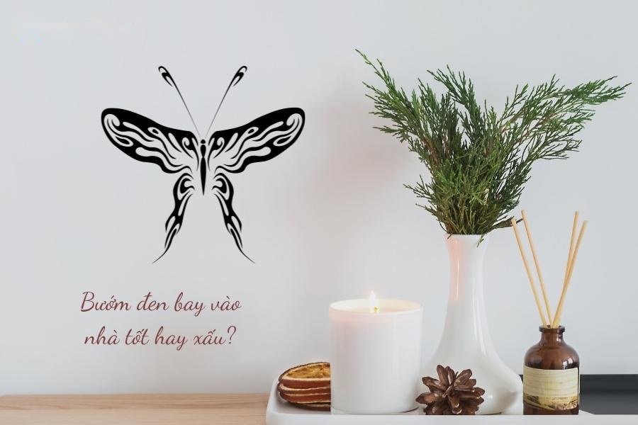 bướm đen bay vào nhà điềm gì