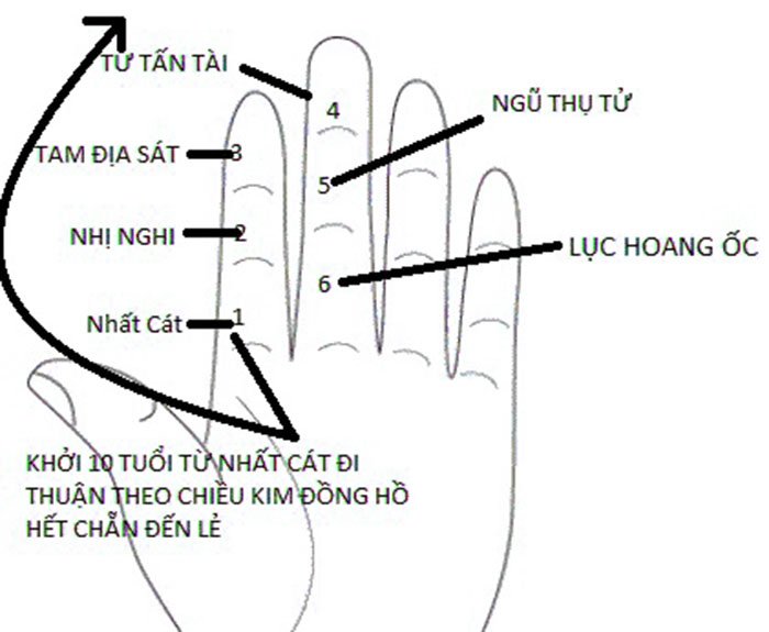 Cách tính tuổi hoang ốc