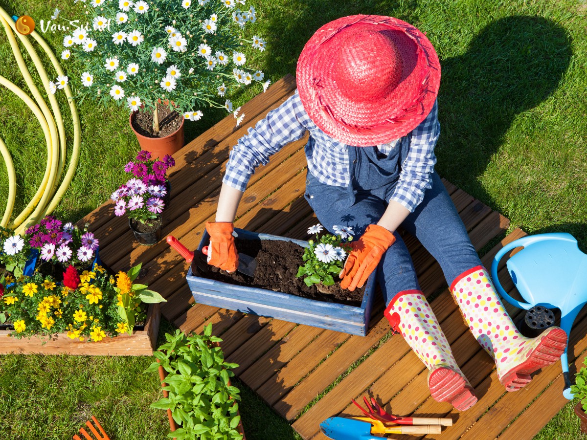 Cự Giải thích chăm sóc khu vườn nhỏ