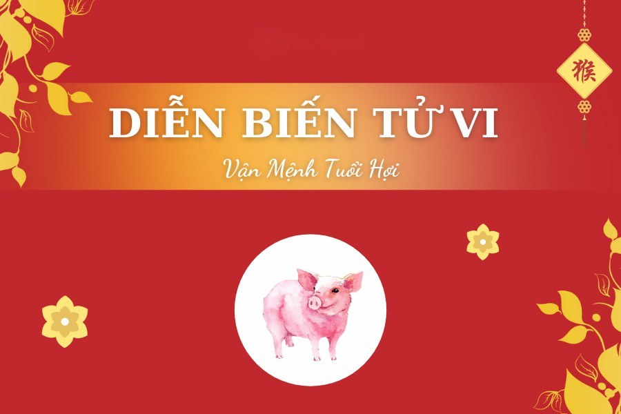 tra cứu tử vi tuổi hợi