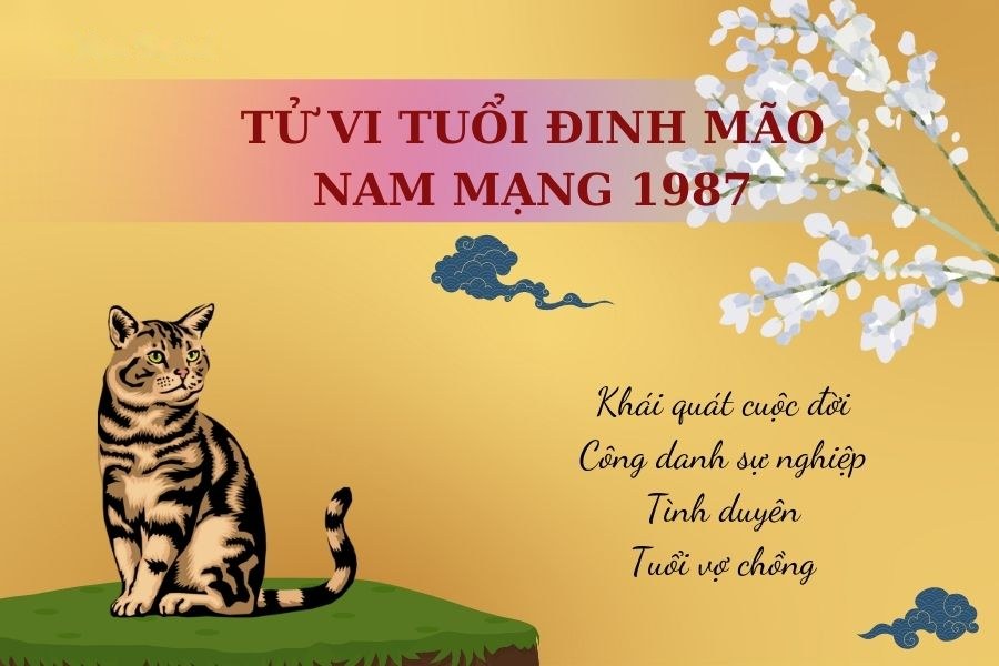 Tử vi trọn đời nam mạng tuổi Đinh Mão 1987