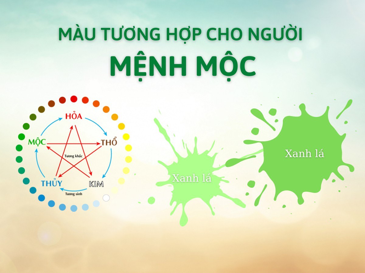 Màu tương hợp mệnh Mộc