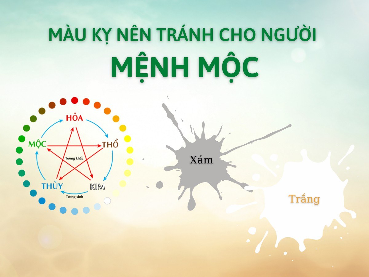 Màu kỵ mệnh Mộc
