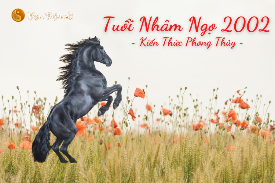 Kiến thức phong thủy tuổi Nhâm Ngọ