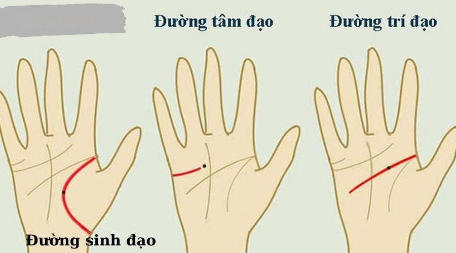 nốt ruồi trên đường tâm đạo