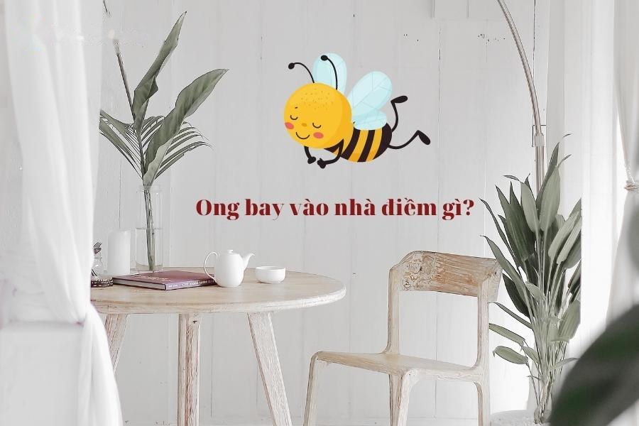 ong bay vào nhà điềm gì