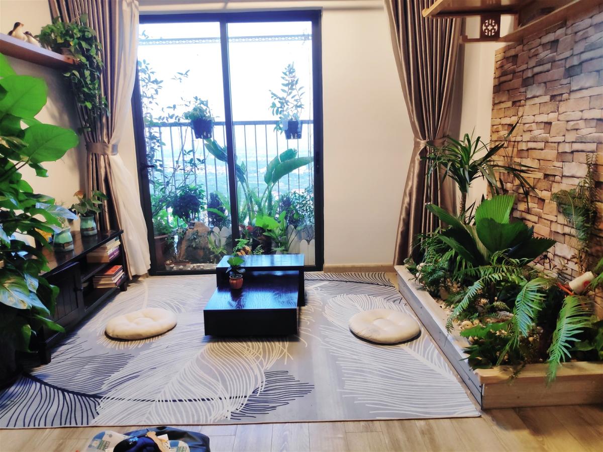 Phong thủy cây trồng trong nhà