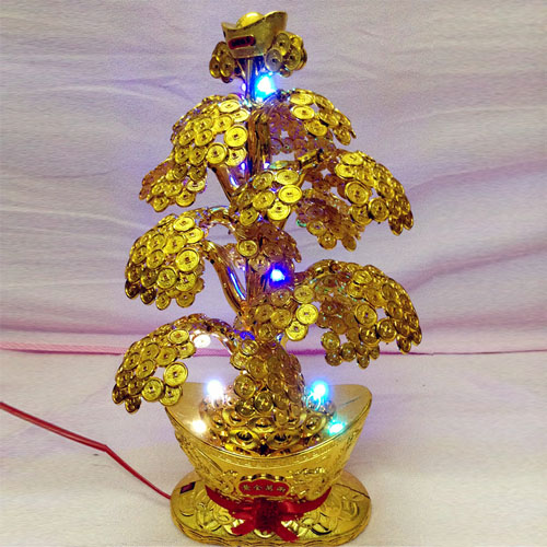 Xem phong thủy cây tiền