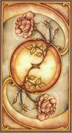 Bói bài tarot - Bạn nên làm gì để kiếm tiền nhanh chóng, thuận lợi hơn?
