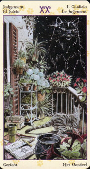 tarot học tập