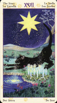 xem tarot online về học tập