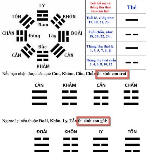 Cách tính sinh con theo quẻ bát quái