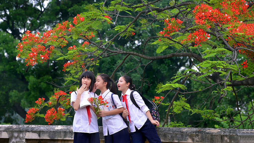 Ngủ mơ thấy mình đi học