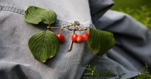 biểu tượng tết trùng cửu