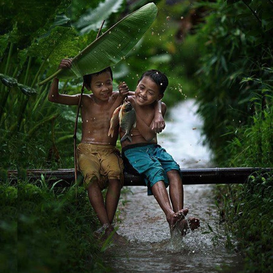 tiết hạ chí trong năm