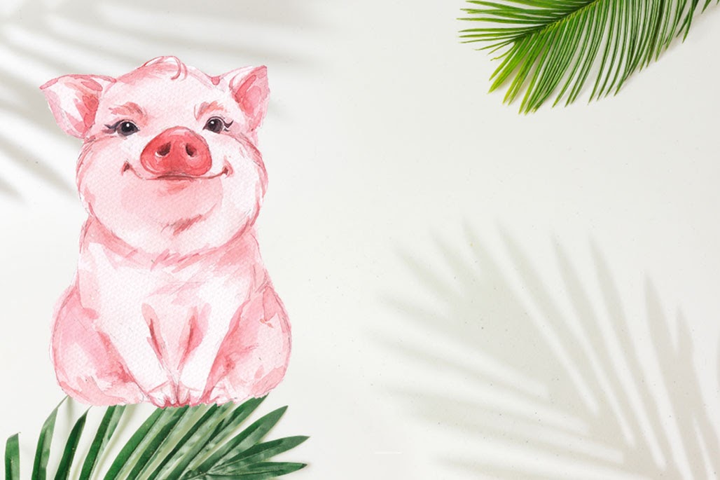 Sinh vào giờ Hợi sướng hay khổ? 