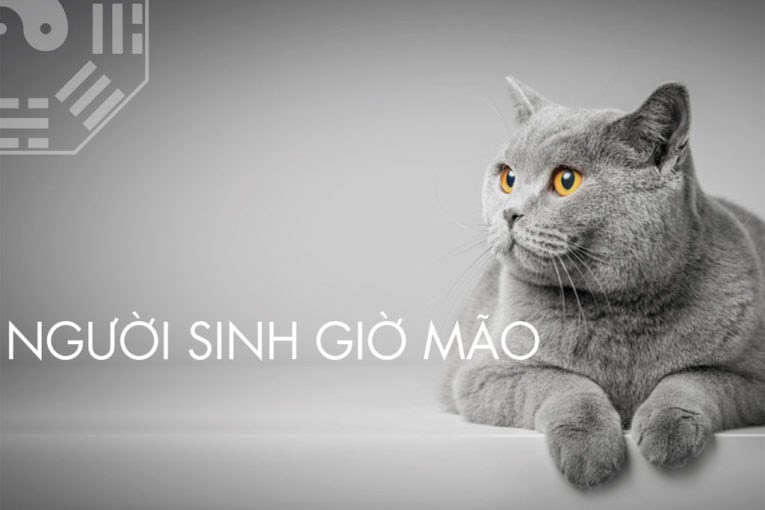 Sinh giờ Mão sướng hay khổ?