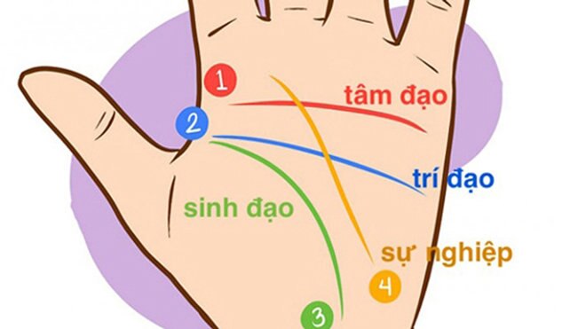 Đường chỉ tay của phụ nữ có số lấy chồng giàu sang