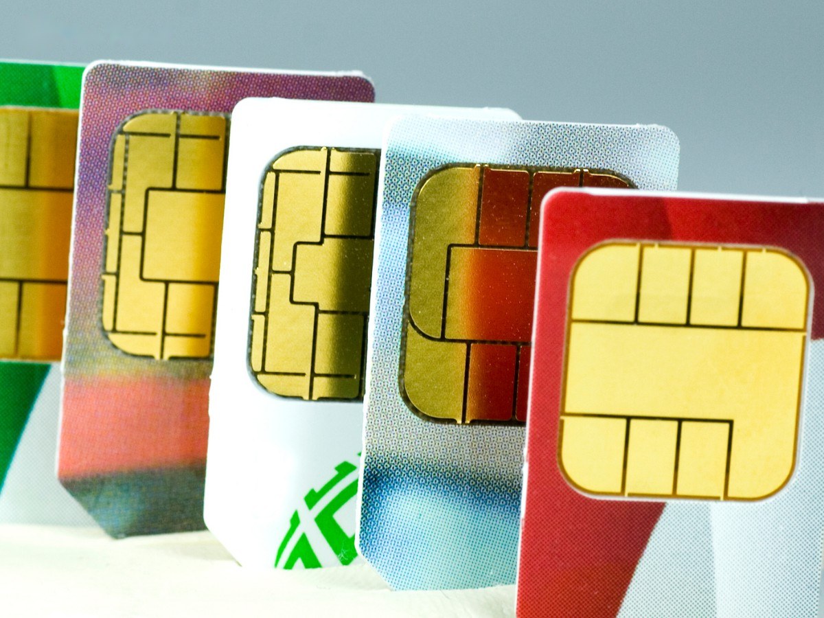 Sim phong thủy mệnh Mộc