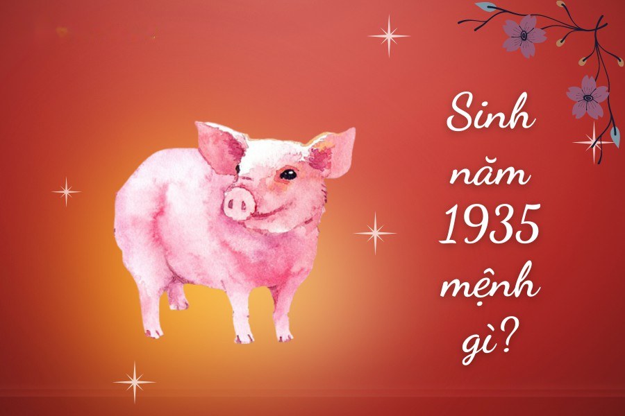 Sinh năm 1935 mệnh gì tuổi con gì