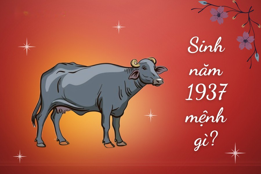 Sinh năm 1937 mệnh gì tuổi con gì?