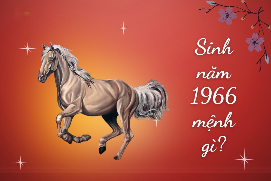 Sinh năm 1966 mệnh gì tuổi con gì?