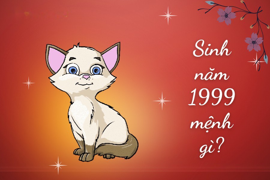 Sinh năm 1999 mệnh gì?