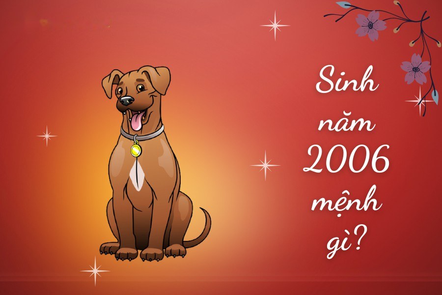 Tuổi Tuất 2006 mệnh gì