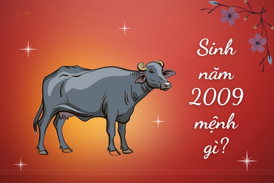 Sinh năm 2009 mệnh gì
