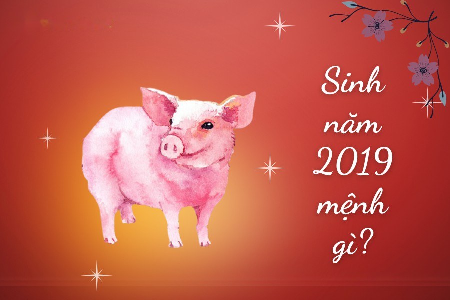 Sinh năm 2019 mệnh gì tuổi gì