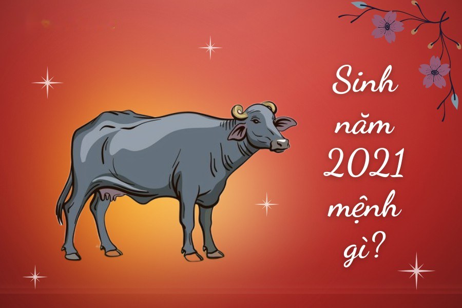 Tuổi Sửu 2021 mệnh gì