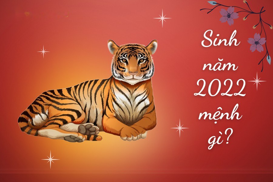 Sinh năm 2022 mệnh gì