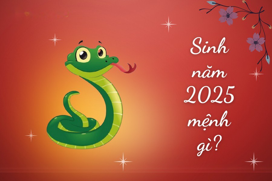Sinh năm 2025 mệnh gì tuổi con gì?