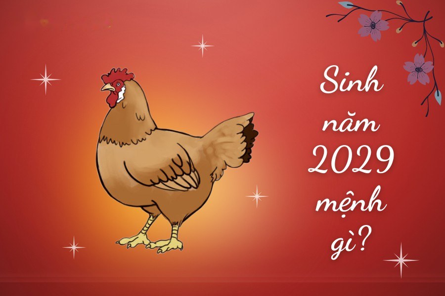 Sinh năm 2029 tuổi gì mệnh gì?