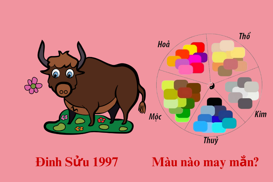 Tăng cường sức khỏe và tinh thần
