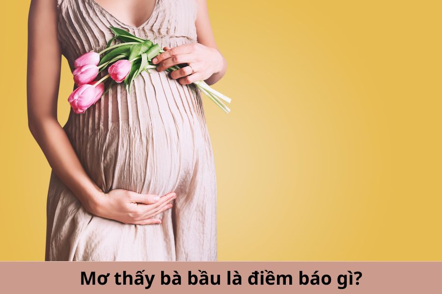 I. Ý nghĩa chung của giấc mơ về bà bầu