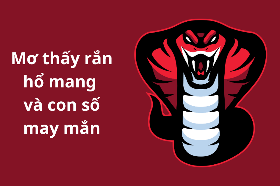 III. Mơ thấy rắn hổ mang và con số may mắn