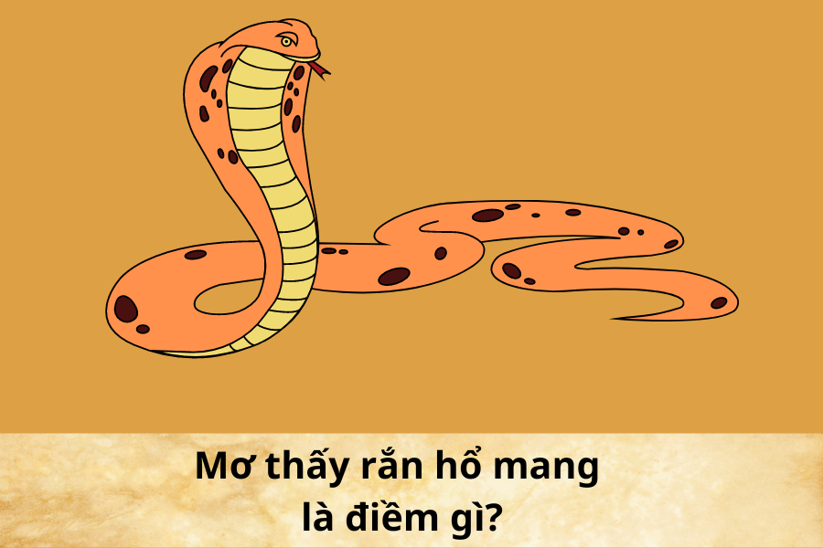 I. Mơ thấy rắn hổ mang là điềm gì?