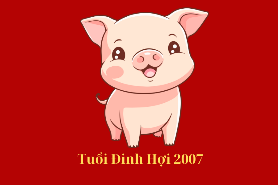 1.1 Năm sinh 2007 là tuổi gì?