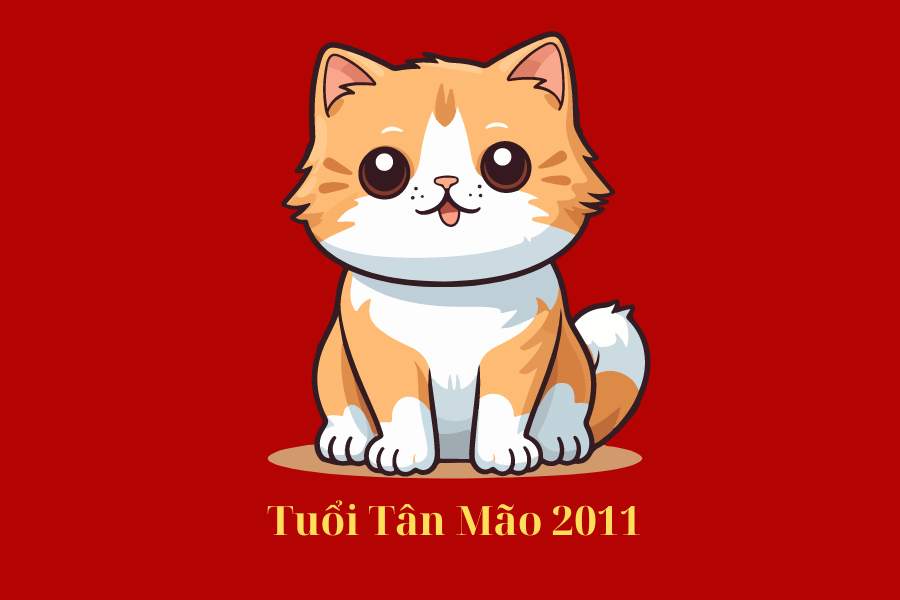 1.1 Năm sinh 2011 là tuổi gì?