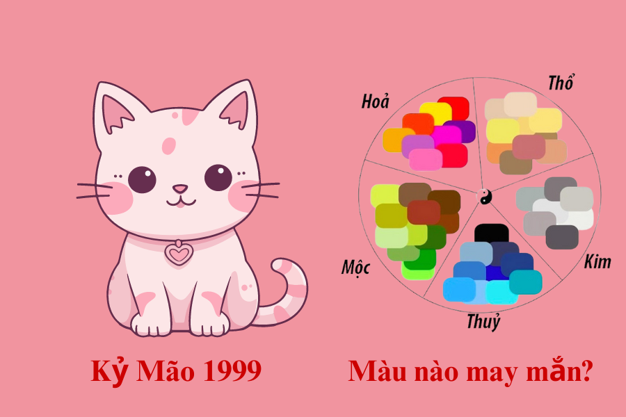 5. Lưu ý khi chọn màu sắc hợp phong thủy