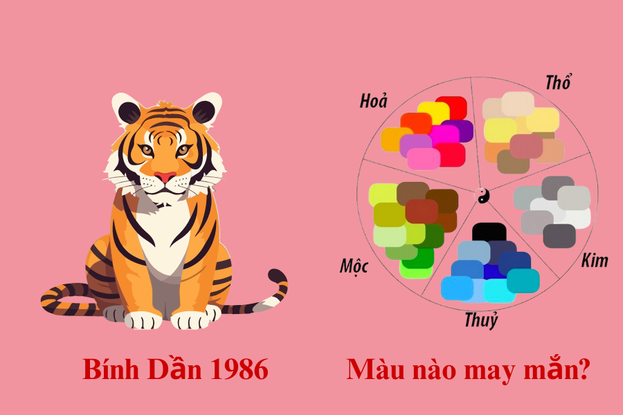 3.2. Màu xe