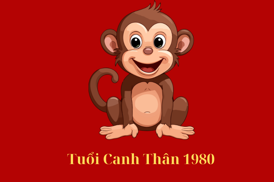 4.2. Sự nghiệp và tài chính