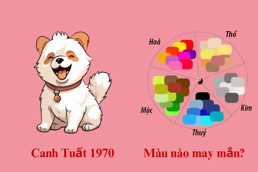 4.1. Màu sơn nhà