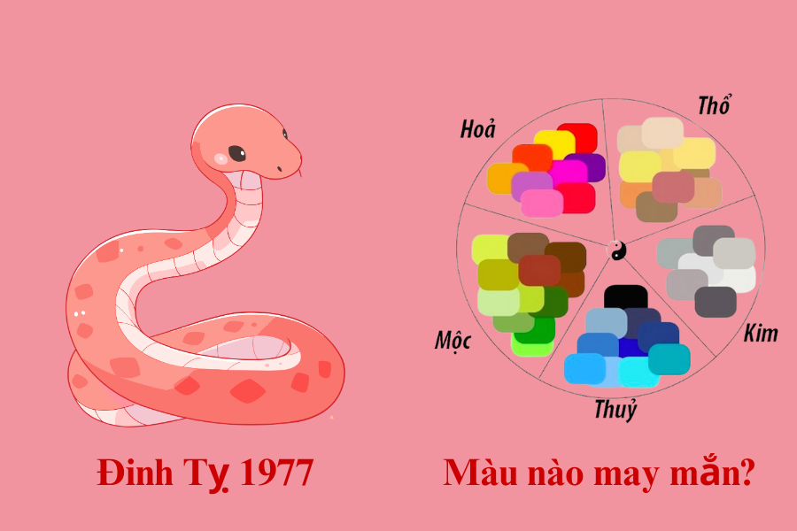 3.2. Màu xe