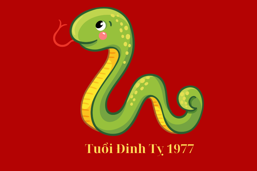 Tuổi Đinh Tỵ 1977 Hợp Màu Gì? Màu Nào May Mắn?