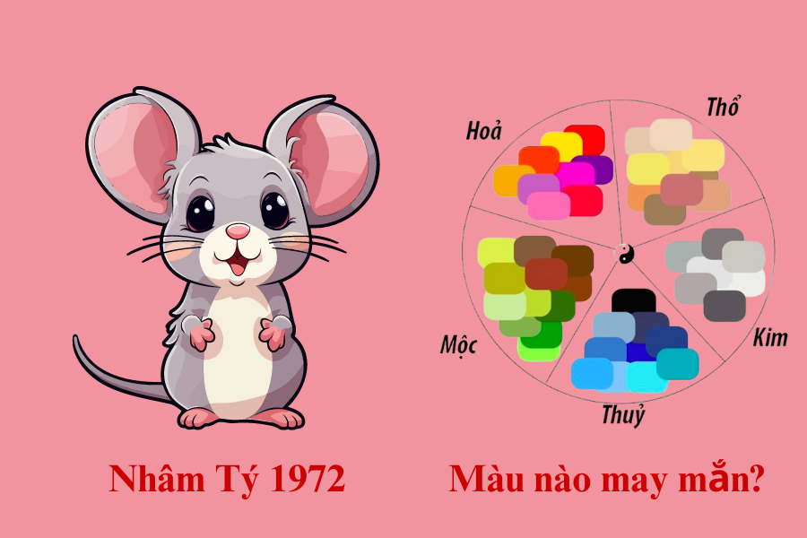 4.1. Màu sơn nhà