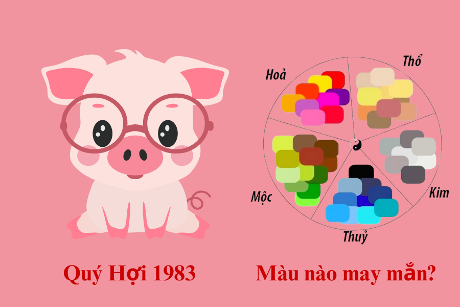 3.2. Màu xe