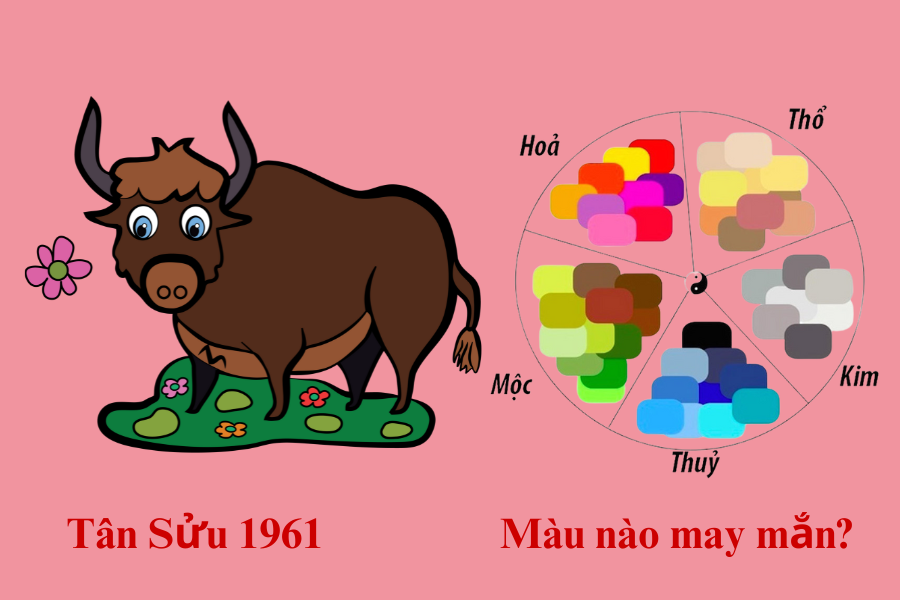 4.1. Màu sơn nhà