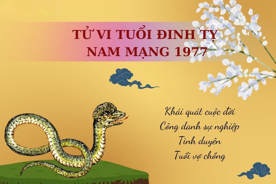 Tử Vi Tuổi Đinh Tỵ 1977 - Nam mạng | Chi tiết tử vi trọn đời